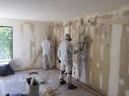 Mold Remediation for Rental Properties in Centralia, MO